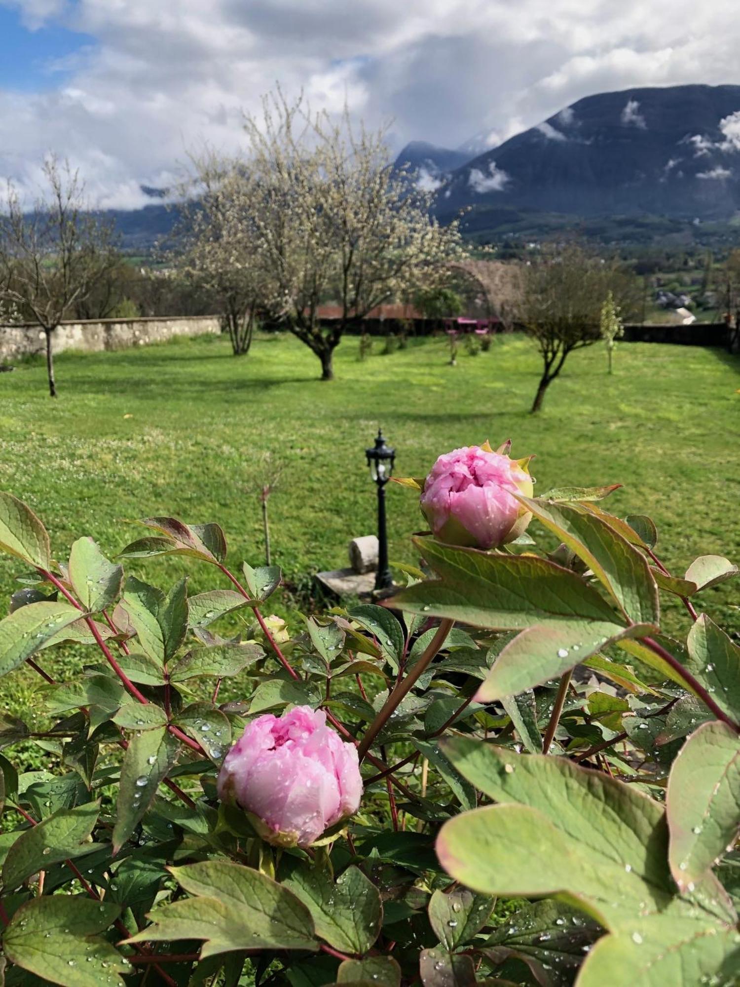 Chateau D'Apremont Apremont (Savoie) Exterior foto